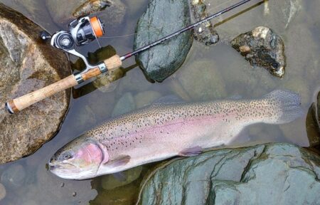 出遅れで苦戦　～天竜川ルアーフライテンカラ専用区～